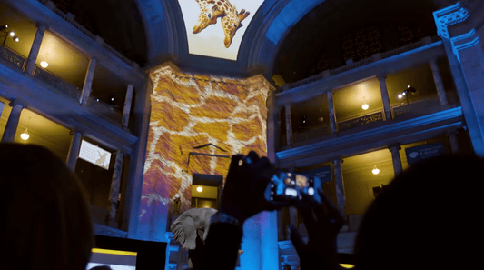 Epson Laser Projectors Transform Nature's Best Awards Gala - Proven Projectors