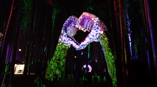 How Projection Mapping Transforms the Electric Forest Music Festival - Proven Projectors
