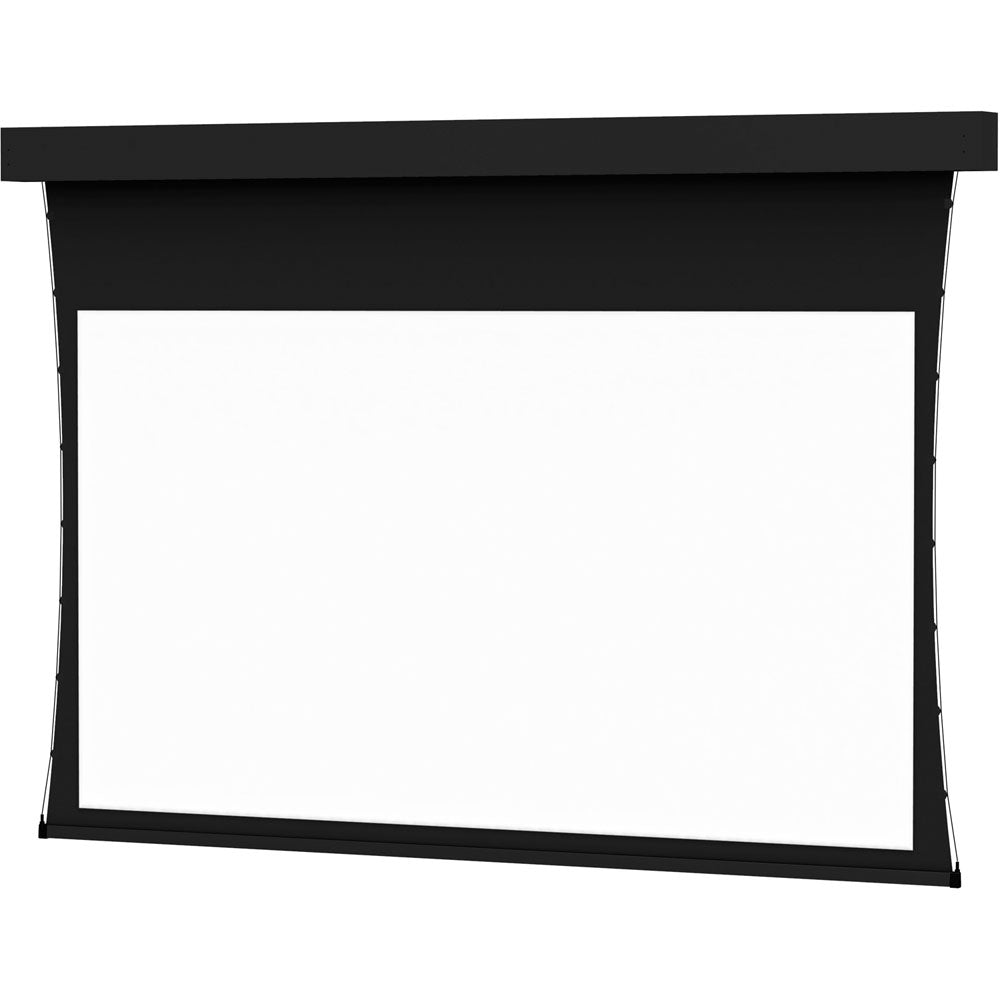 Da - Lite PROFESSIONAL TNSD 298D DM 220 Projection Screen - Proven Projectors