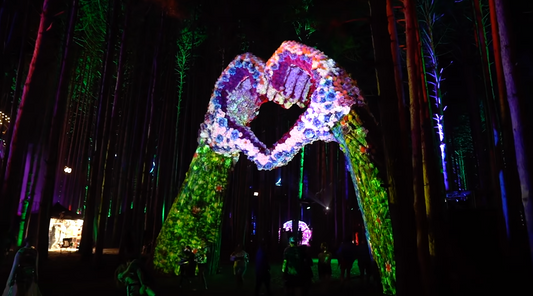 How Projection Mapping Transforms the Electric Forest Music Festival