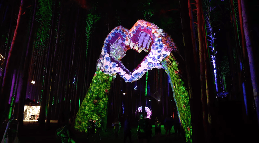 Electric Forest Projection Mapping with Epson - Proven Projectors LLC